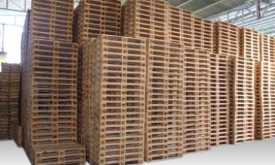 İhracatta kullanılacak ahşap ambalaj malzemeleri ışıl işlem zorunluluğu