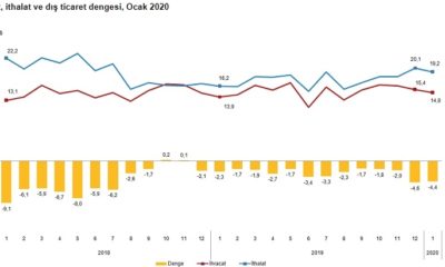 Dış Ticaret İstatistikleri, Ocak 2020