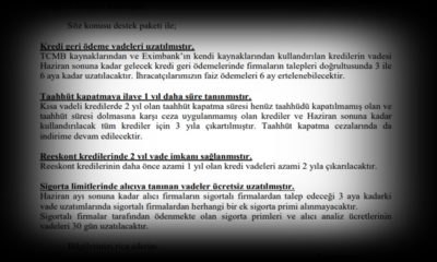 Eximbank Destek Paketi