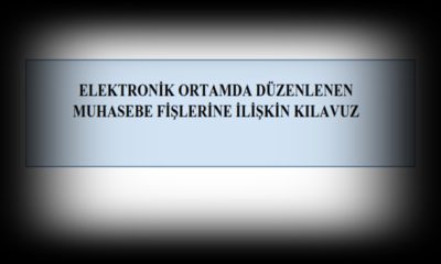 Elektronik ortamda düzenlenen muhasebe fişlerine ilişkin Kılavuz