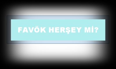 FAVÖK herşey mi?